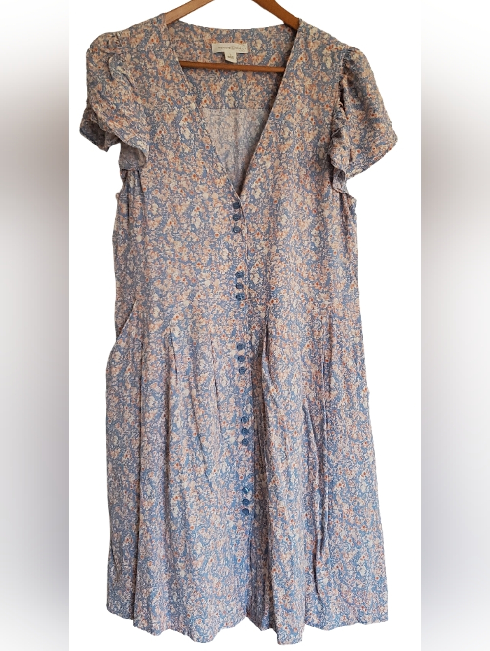 Treasure & Bond Blue Floral Button-Front Dress